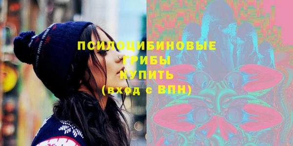 не бодяженный Арсеньев