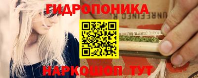 индика Изобильный